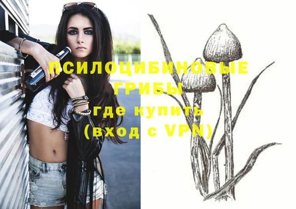 2c-b Лихославль
