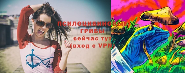 Альфа ПВП Липки