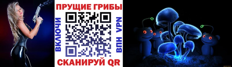 shop состав  Саратов  Галлюциногенные грибы Magic Shrooms 