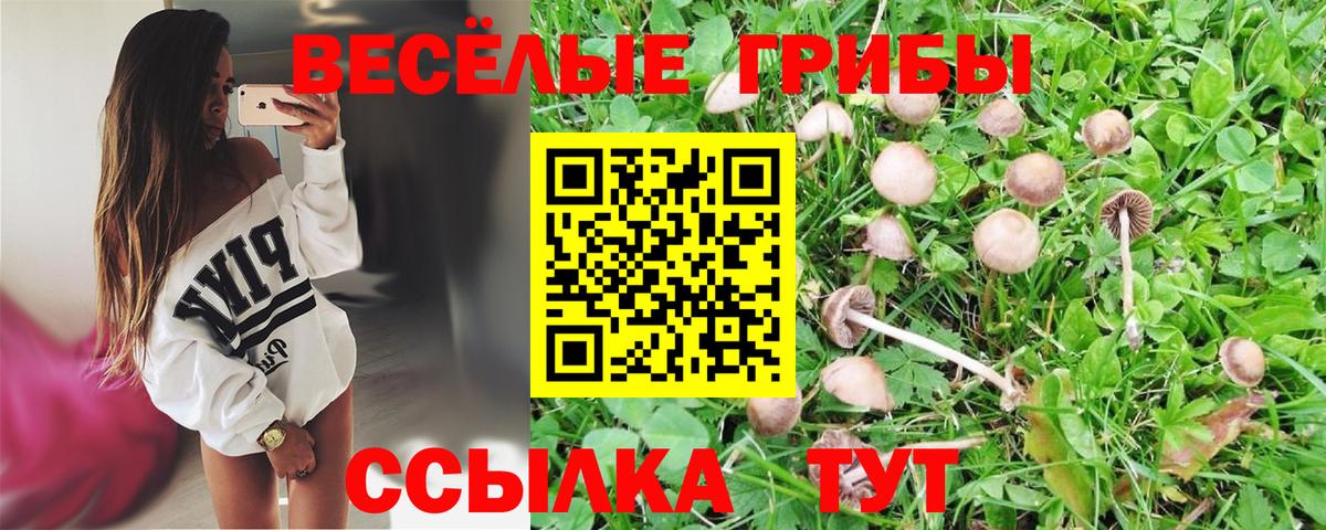 Псилоцибиновые грибы Cubensis  Вход с VPN  Саратов 